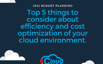 Top 5 things to consider about efficiency and cost optimization of your cloud environment.